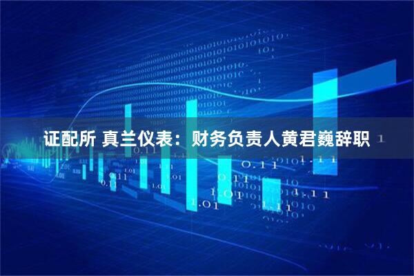 证配所 真兰仪表：财务负责人黄君巍辞职
