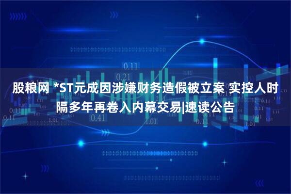 股粮网 *ST元成因涉嫌财务造假被立案 实控人时隔多年再卷入内幕交易|速读公告