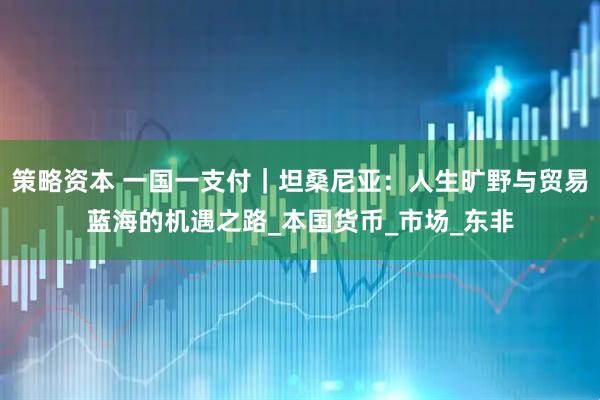 策略资本 一国一支付｜坦桑尼亚：人生旷野与贸易蓝海的机遇之路_本国货币_市场_东非