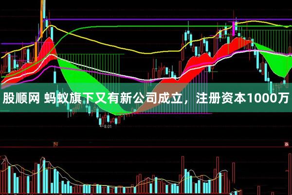 股顺网 蚂蚁旗下又有新公司成立，注册资本1000万